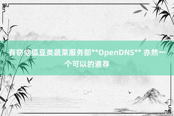 有窃恼狐豆类蔬菜服务部**OpenDNS** 亦然一个可以的遴荐